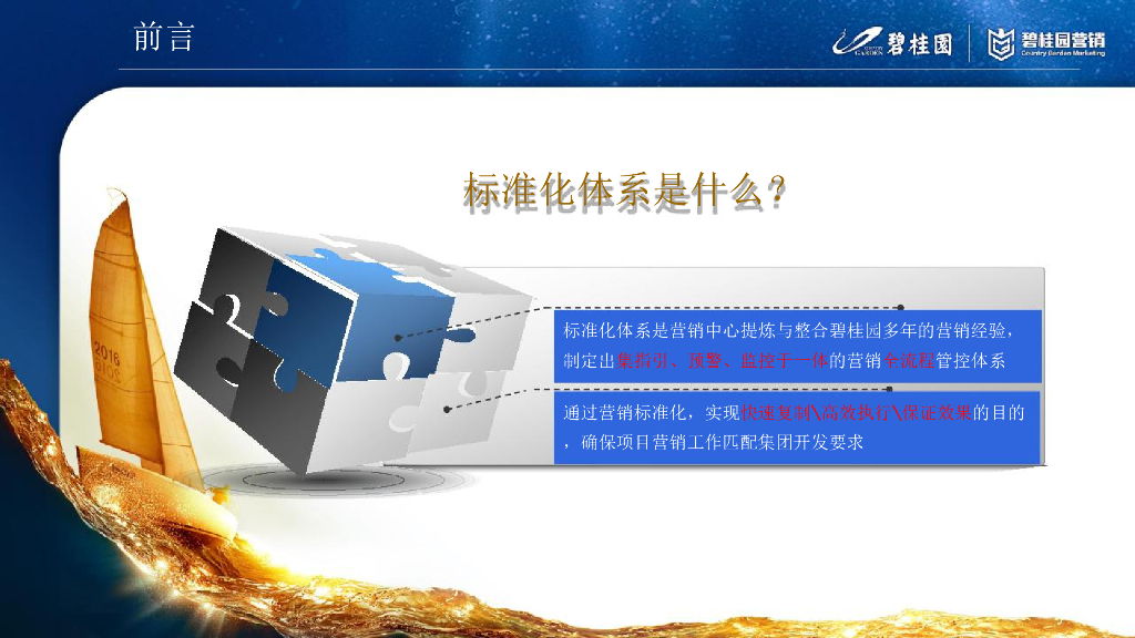 营销铺排碧桂园标准化营销策略（工作铺排节点指引）