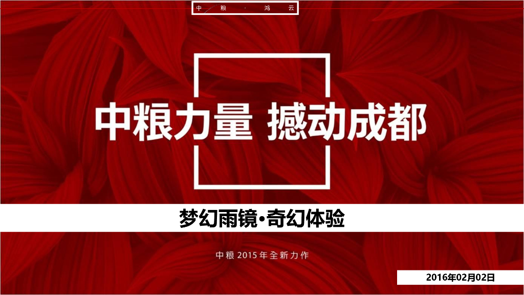 2015中粮地产成都梦幻雨镜活动方案