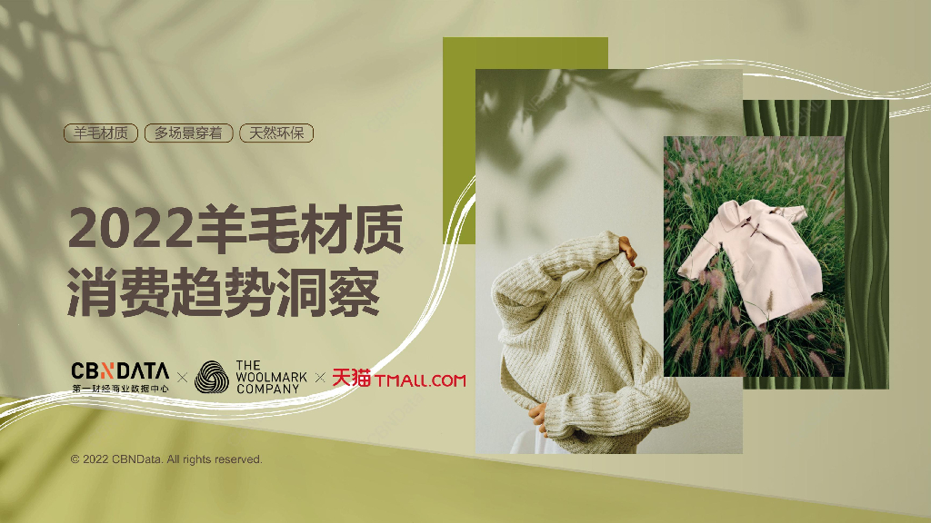 CBNData：2022羊毛材质消费趋势洞察