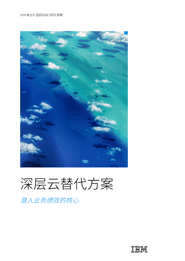 IBM：深层云替代方案：潜入业务绩效的核心