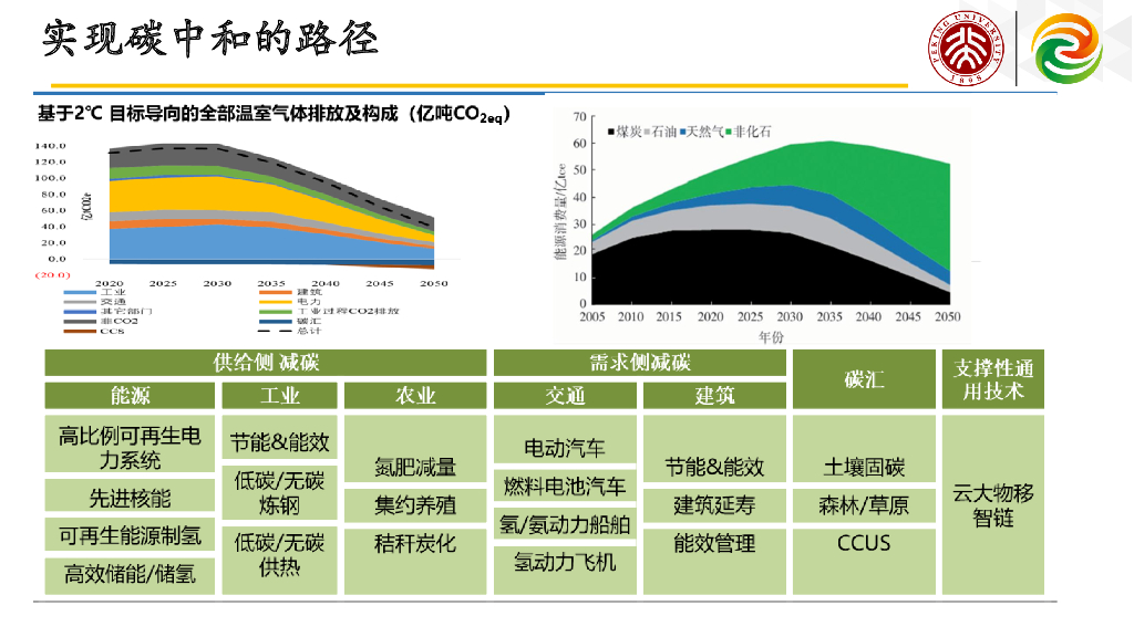 北京大学：碳中和定义能源新赛道_第7页