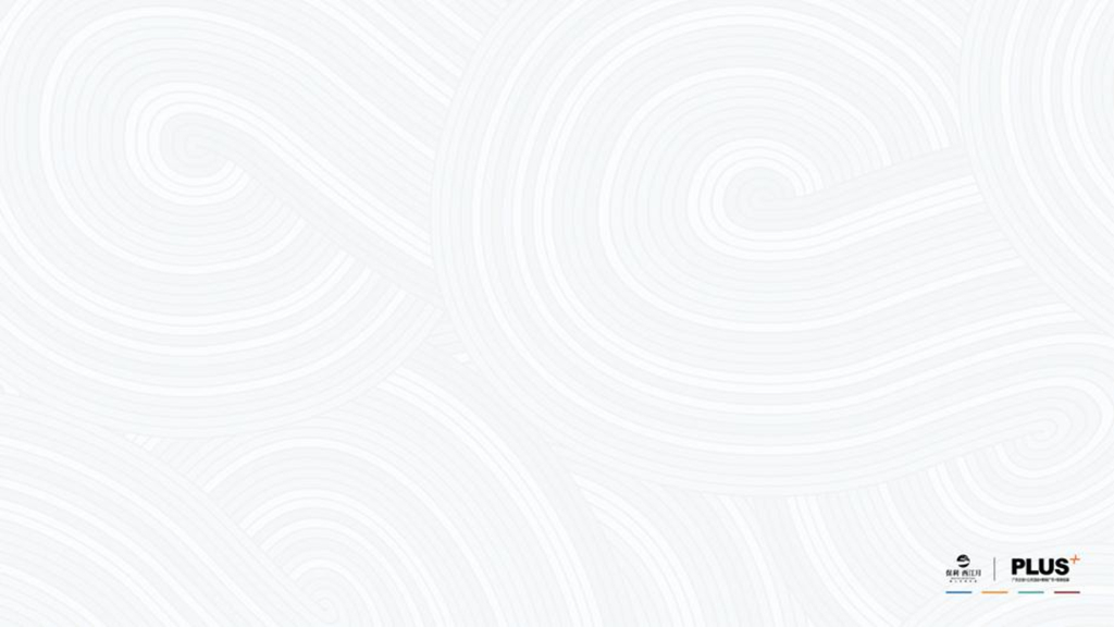 保利西江月策略提案