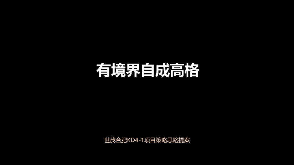 世茂见山府合肥项目策略定稿