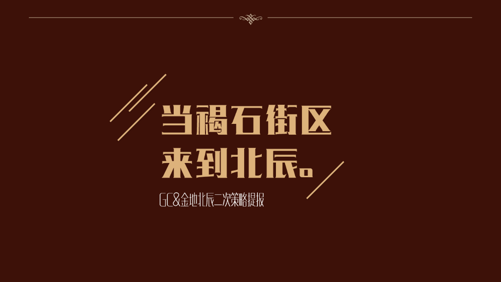 天津金地北辰项目二次策略提报