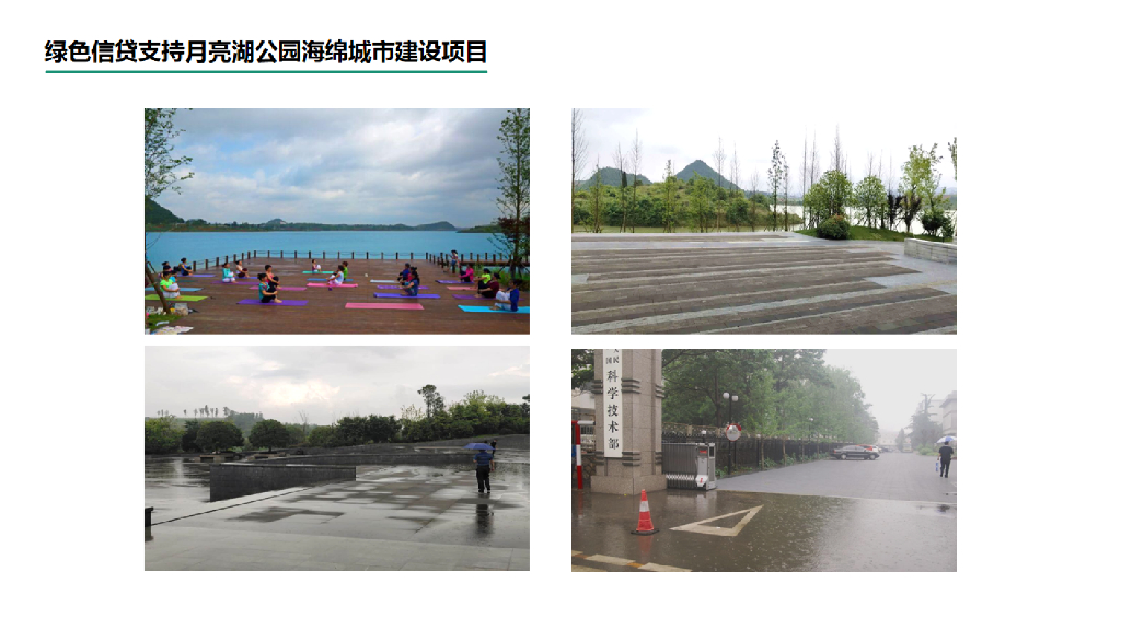 蓝虹绿色金融支持“碳中和”的案例分析_第9页