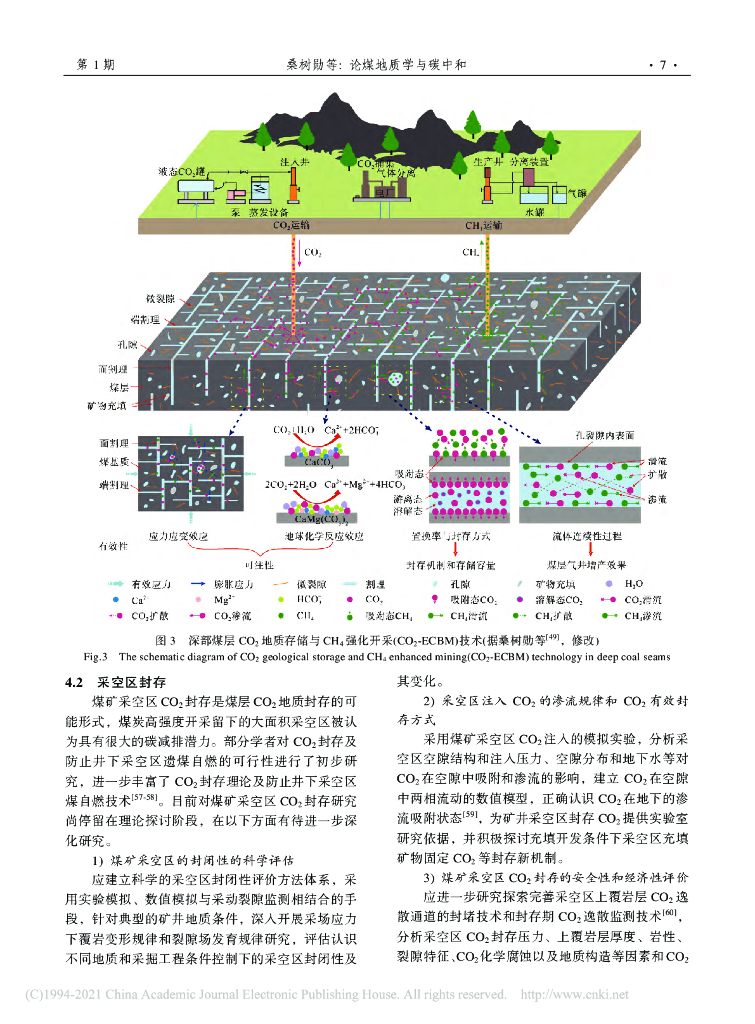论煤地质学与碳中和_第7页