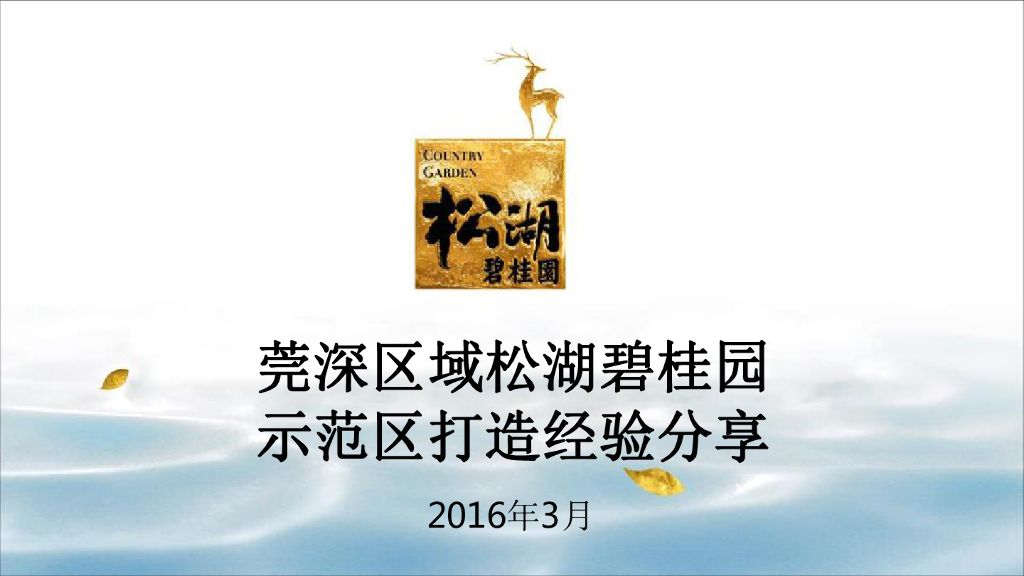 碧桂园莞深区域松湖示范区销售中心体验馆案例