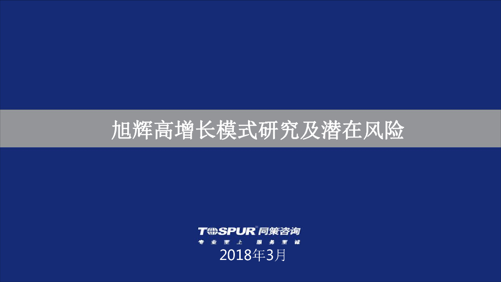标杆企业：旭辉集团高增长模式研究及潜在风险分析报告
