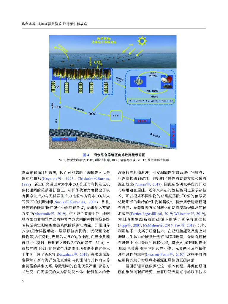 中国科学：实施海洋负排放 践行碳中和战略_第6页