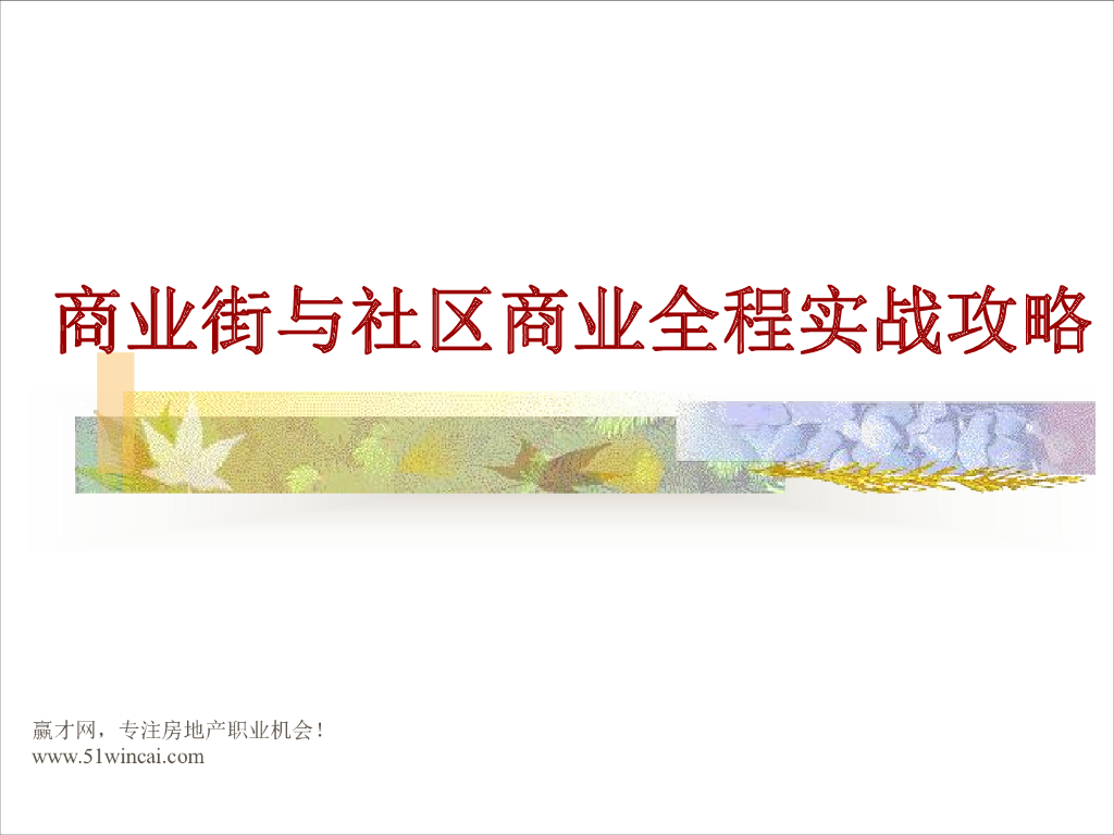 2014商业街与社区商业全程实战攻略培训