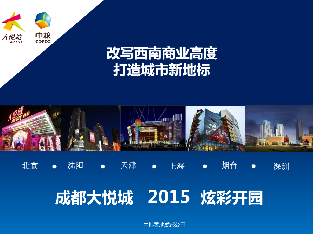 成都中粮大悦城2015年报告