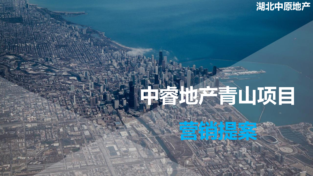 中原-武汉商业综合体青年公寓项目营销提案