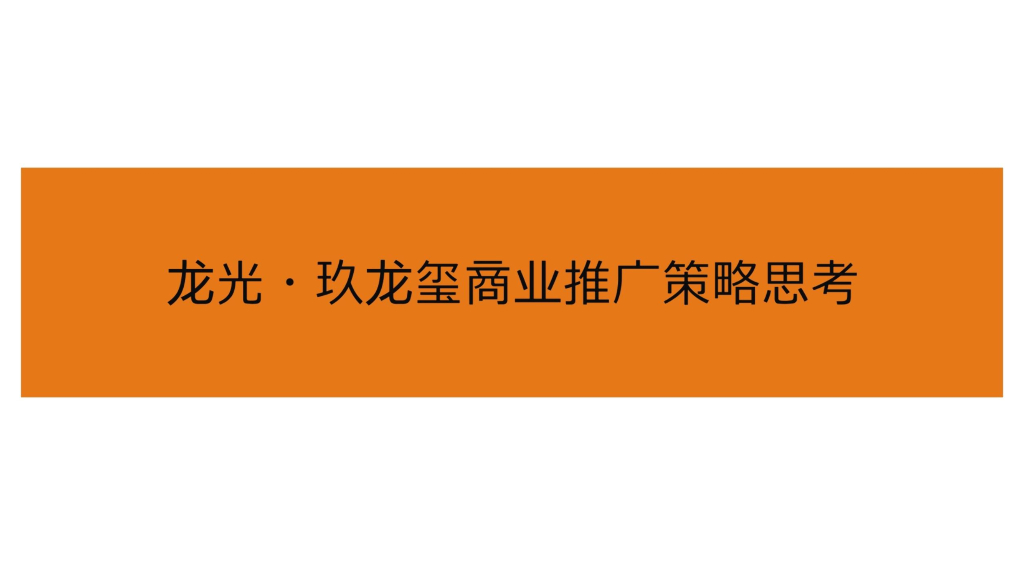 龙光玖龙玺商业推广策略