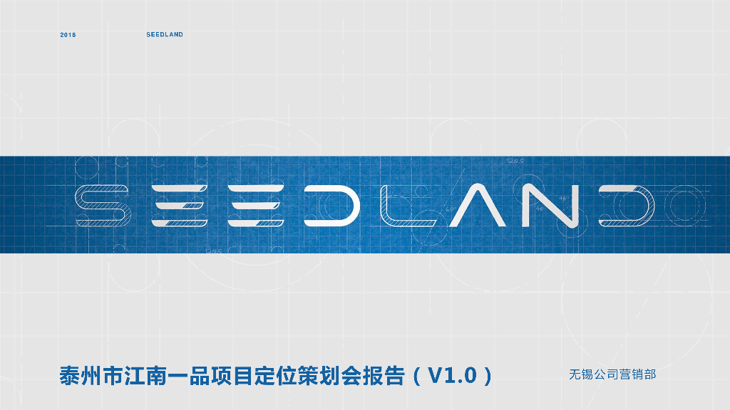 泰州江南一品项目定位报告