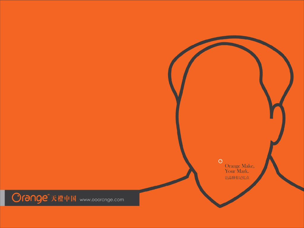 2017某一线广告公司-中海顺德品牌落地方案