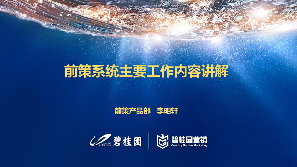 碧桂园营销学院-标杆房企前策系统主要工作内容讲解