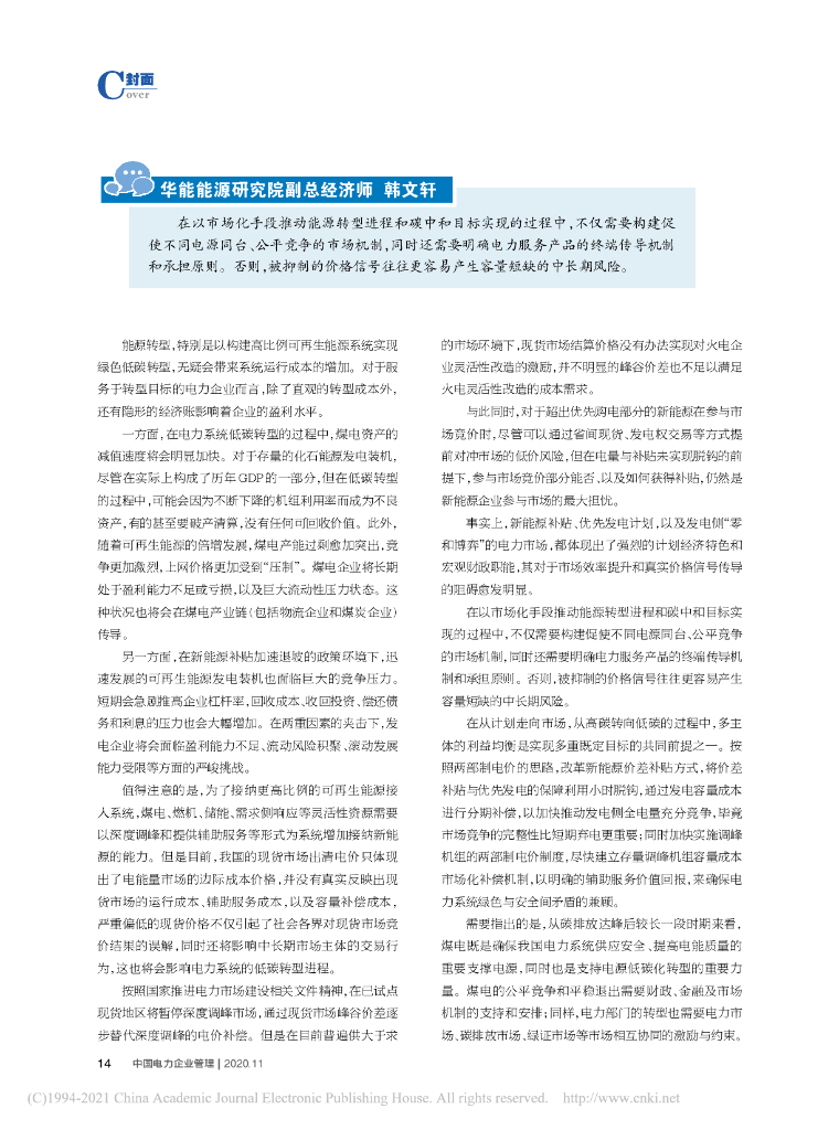 碳中和的经济实现路径_第7页