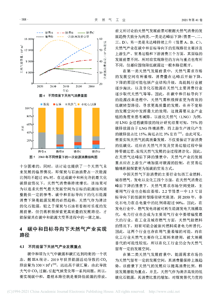碳中和目标下天然气产业发展的多情景构想_第6页