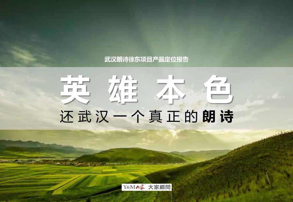 武汉朗诗徐东项目定位报告