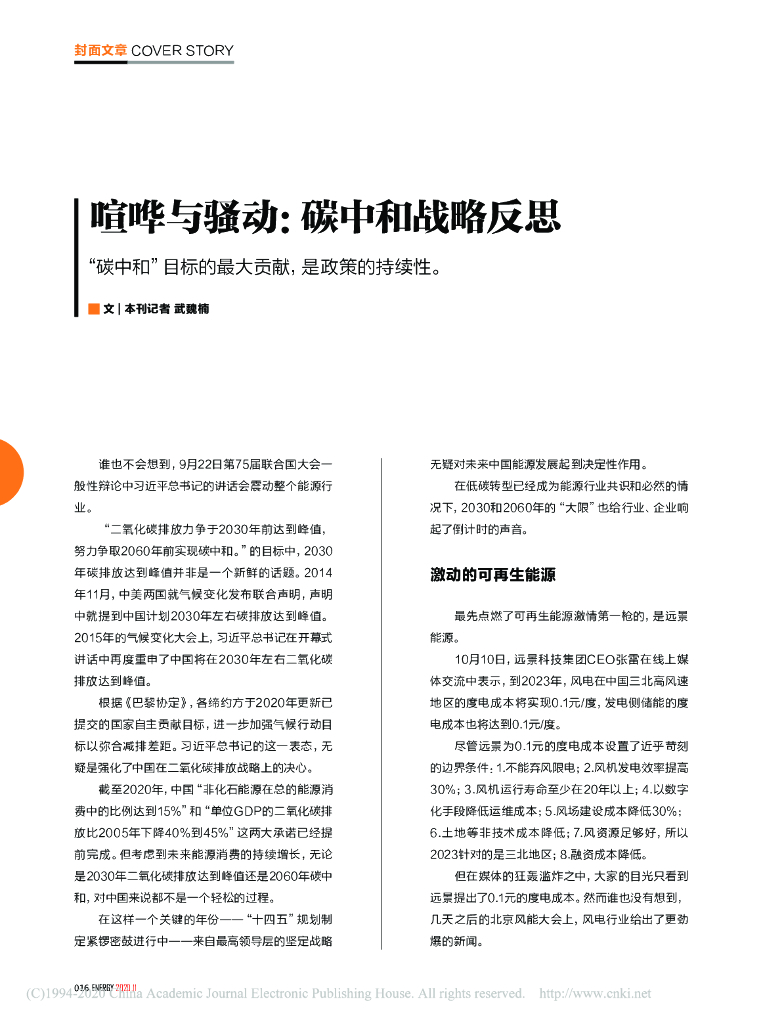喧哗与骚动：<em>碳中和</em>战略反思 海报