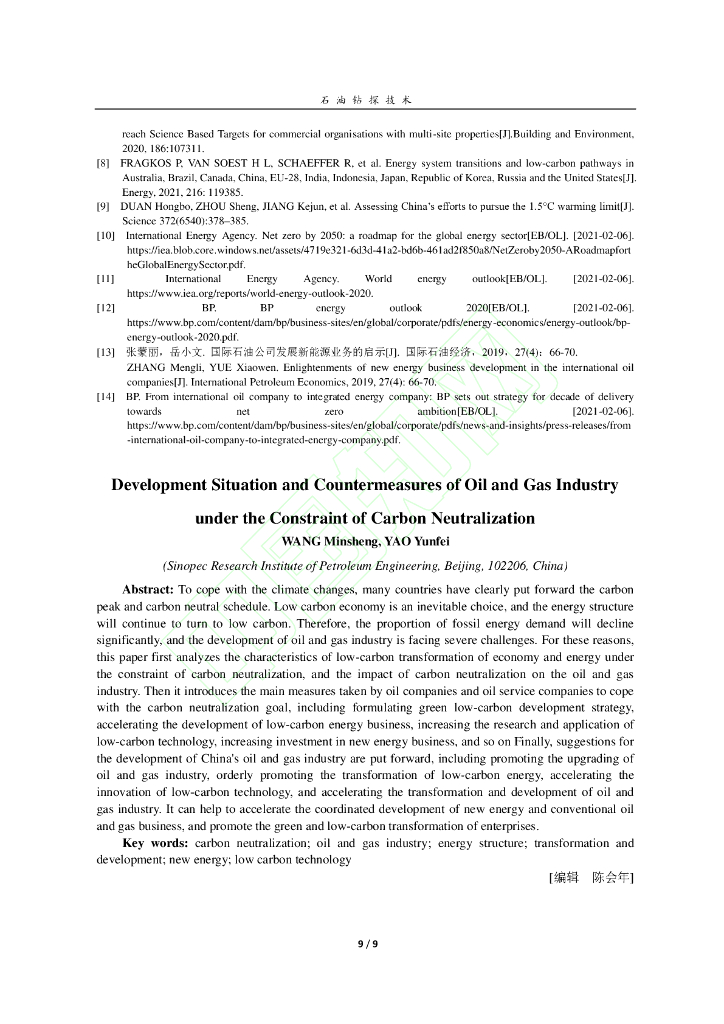 碳中和约束下油气行业发展形势及应对策略_第10页