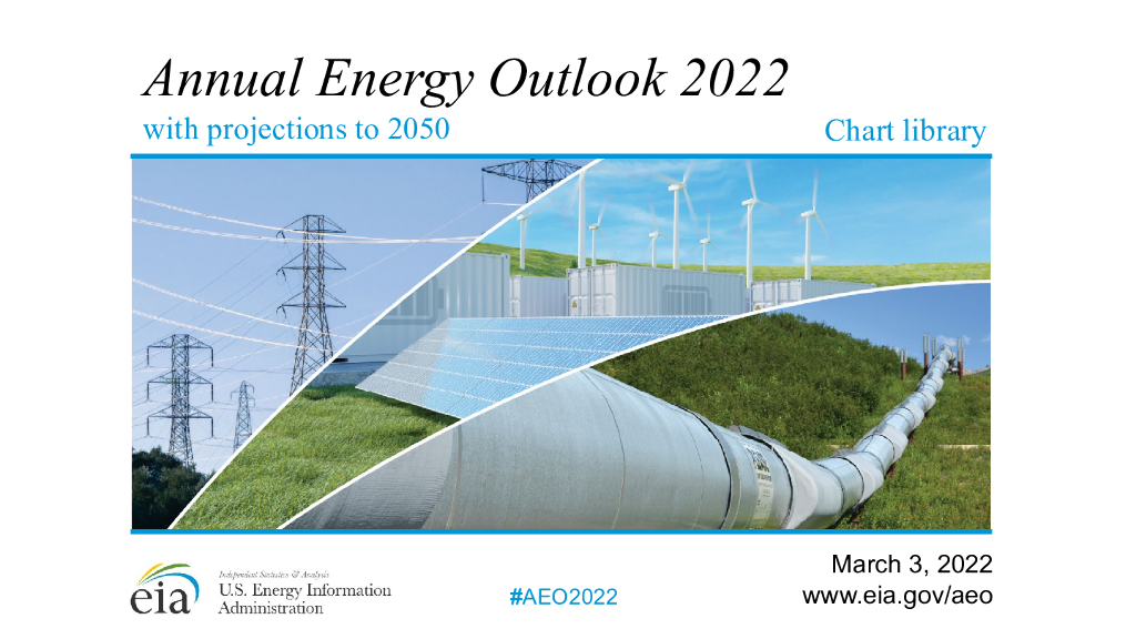 美国<em>能源</em>署EIA：美国2022年度<em>能源</em>展望报告（英文版） 海报