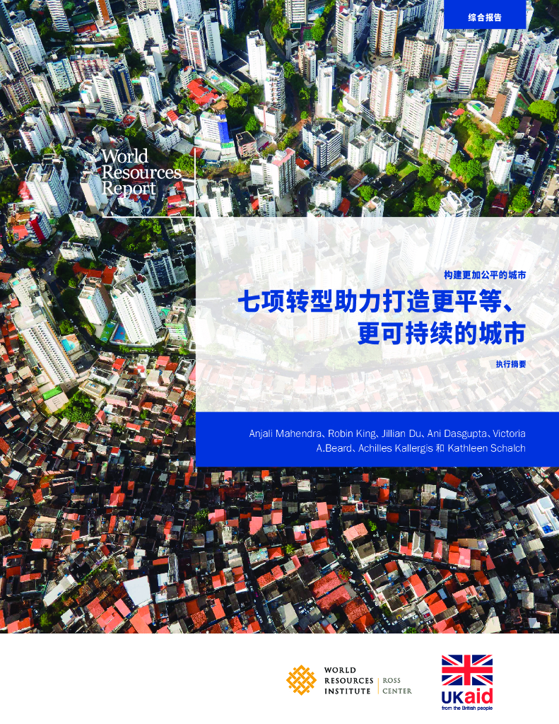 世界资源研究所：七项转型助力打造更平等、更可持续的城市