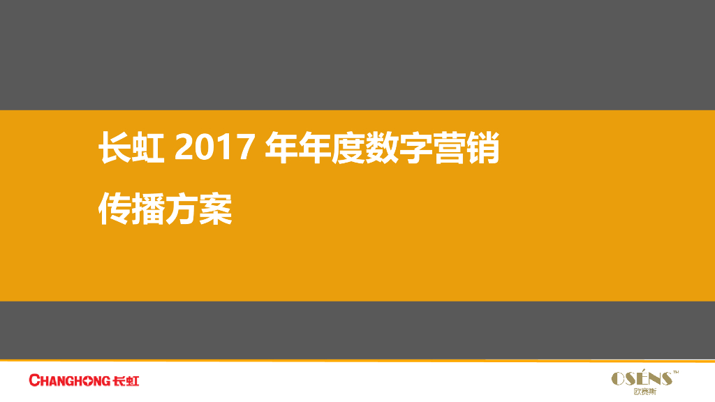 2017年长虹年度数字营销