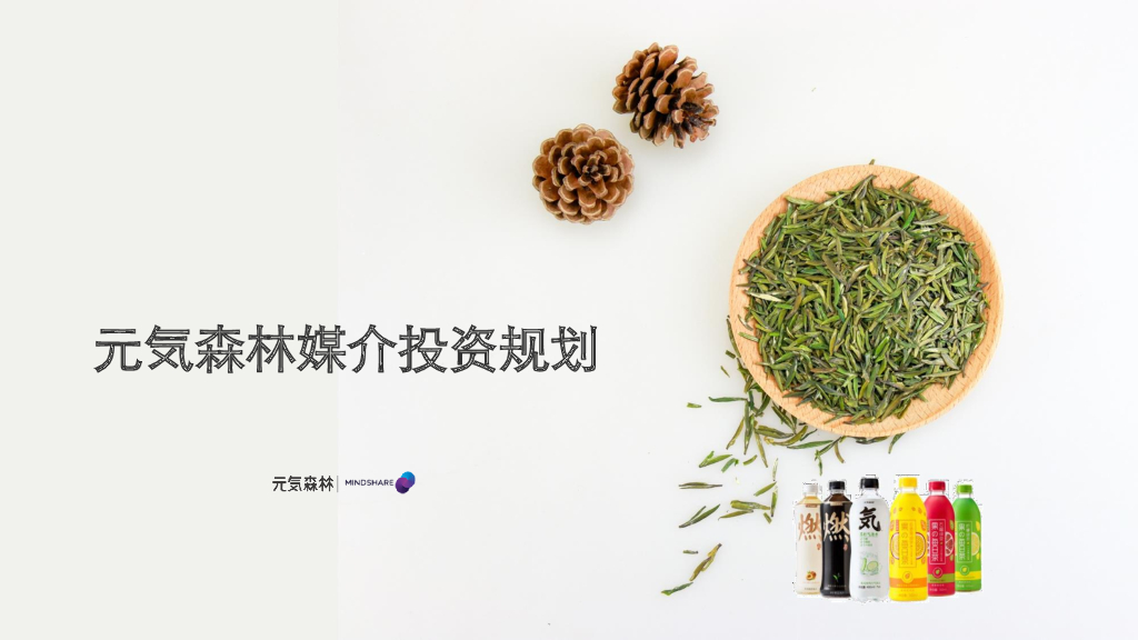 元気森林媒介投资规划