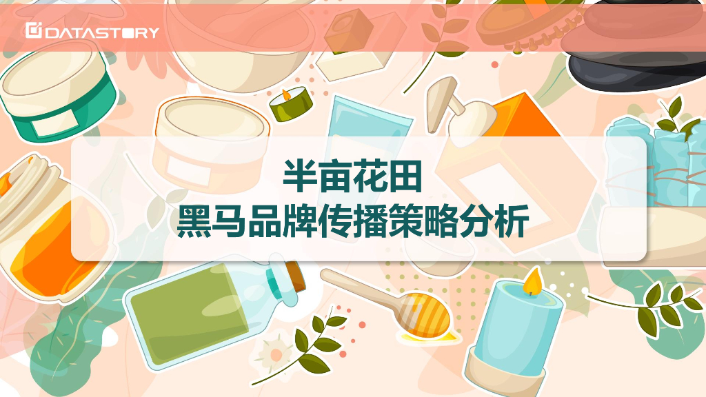 半亩花田黑马品牌传播策略分析