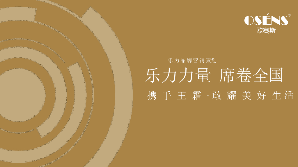 乐力数字营销策略_第1页