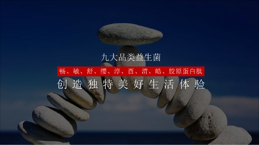 乐力数字营销策略_第5页