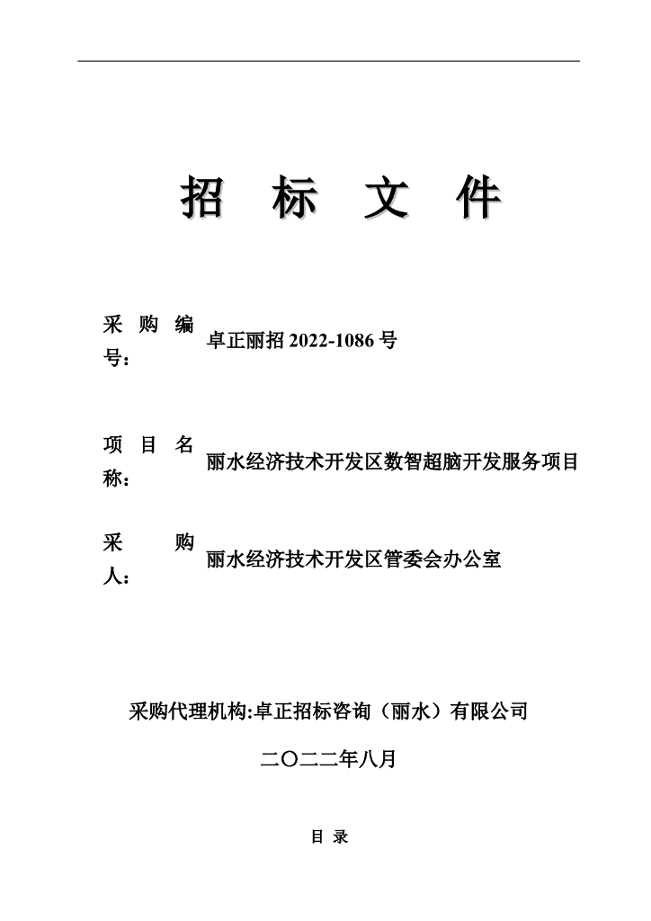 丽水经济技术开发区数智超脑开发服务项目 海报