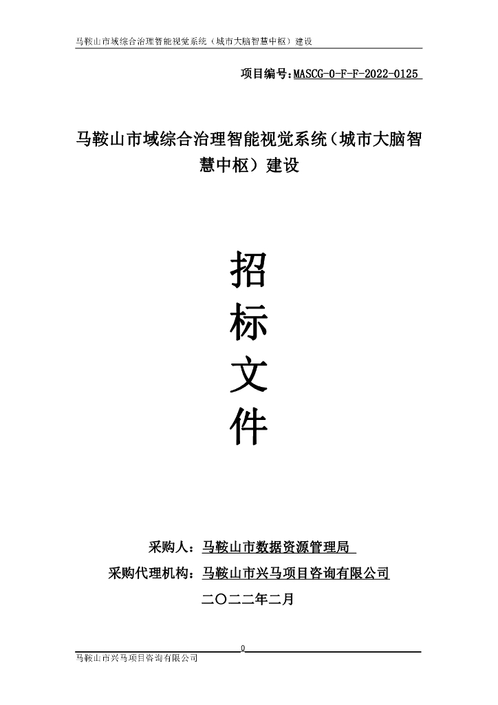 马鞍山市域综合治理智能视觉系统（城市大脑智慧中枢）建设  采购文件