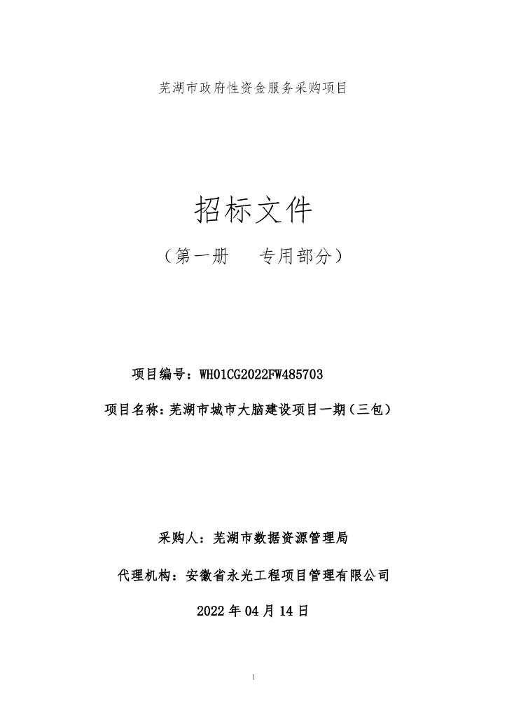 芜湖市城市大脑建设项目一期（三包）  采购文件（三包）