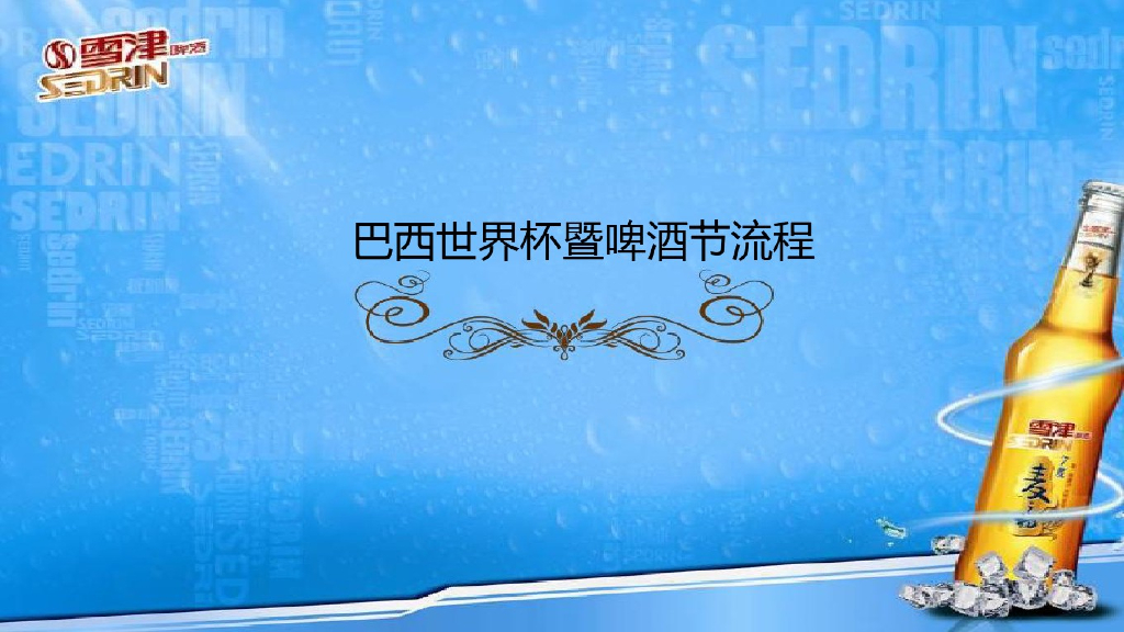 “雪津”世界杯嘉年华暨啤酒节策划方案