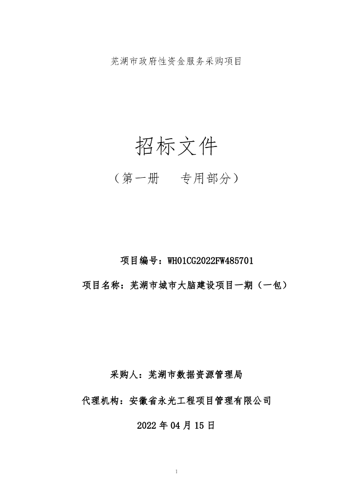 芜湖市城市大脑建设项目一期（一包）  招标文件（一包）