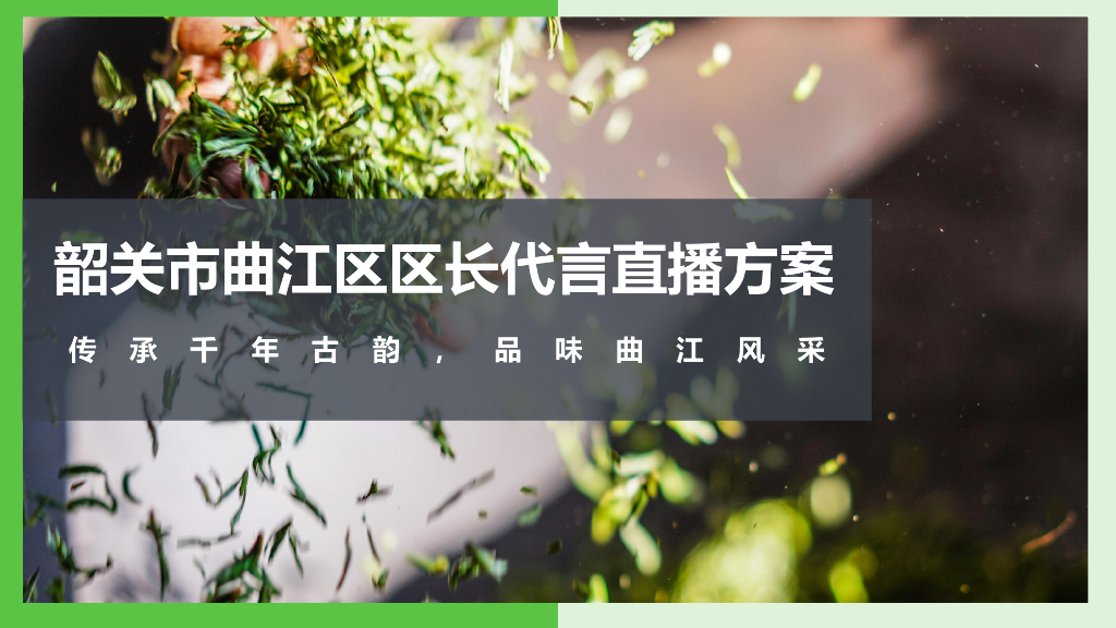 2020韶关区长代言直播活动策划方案