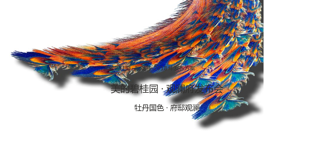 2018美的碧桂园·观澜府发布会活动策划方案