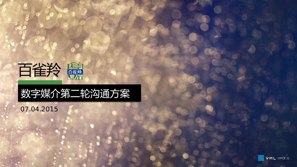 2015百雀羚数字媒介第二轮沟通方案