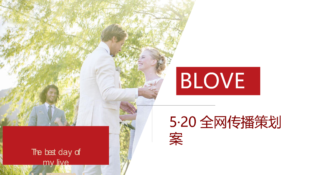 2018珠宝品牌BLOVES·520情人节-线上传播策略方案