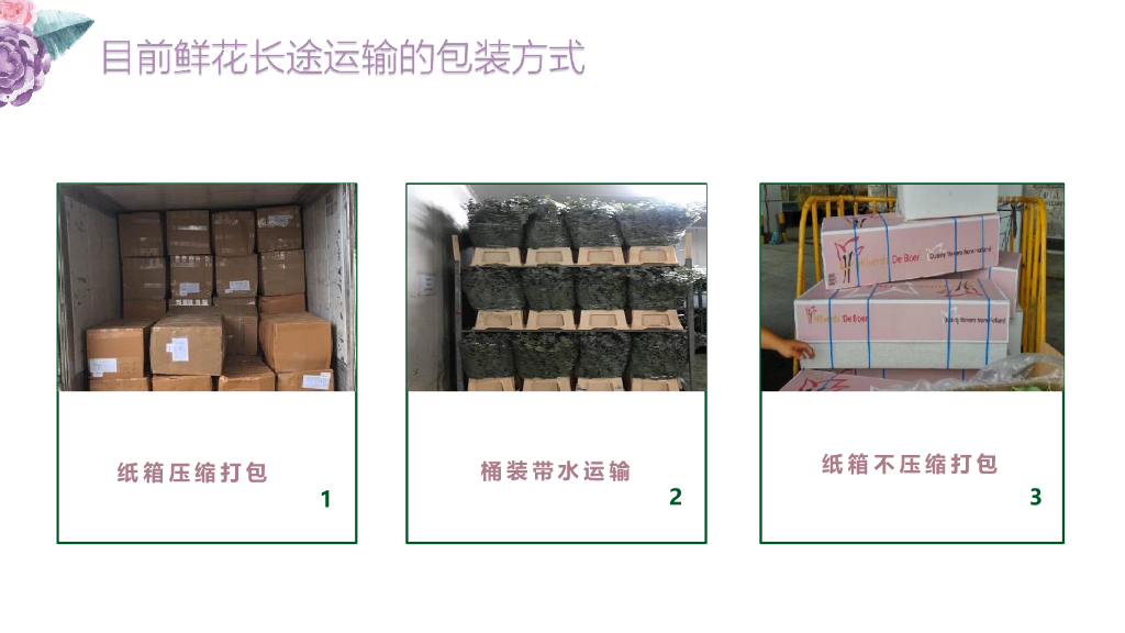 赵蕴晖：碳中和背景下的鲜花运输包装箱方案_第8页