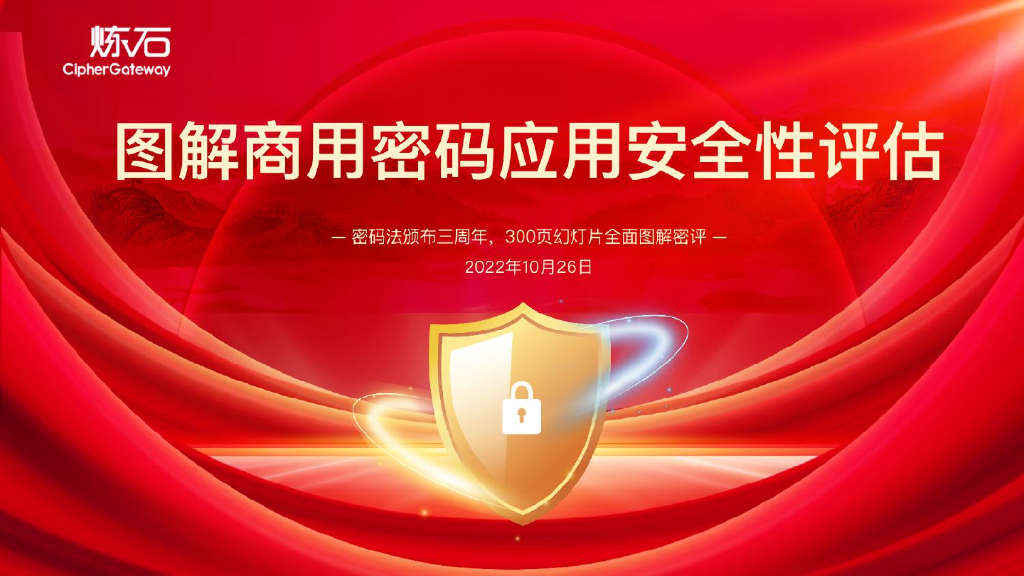 炼石网络：图解商用密码应用安全性评估