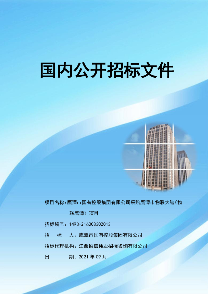 国内公开招标文件：鹰潭市国有控股集团有限公司采购鹰潭市物联大脑（物联鹰潭）项目