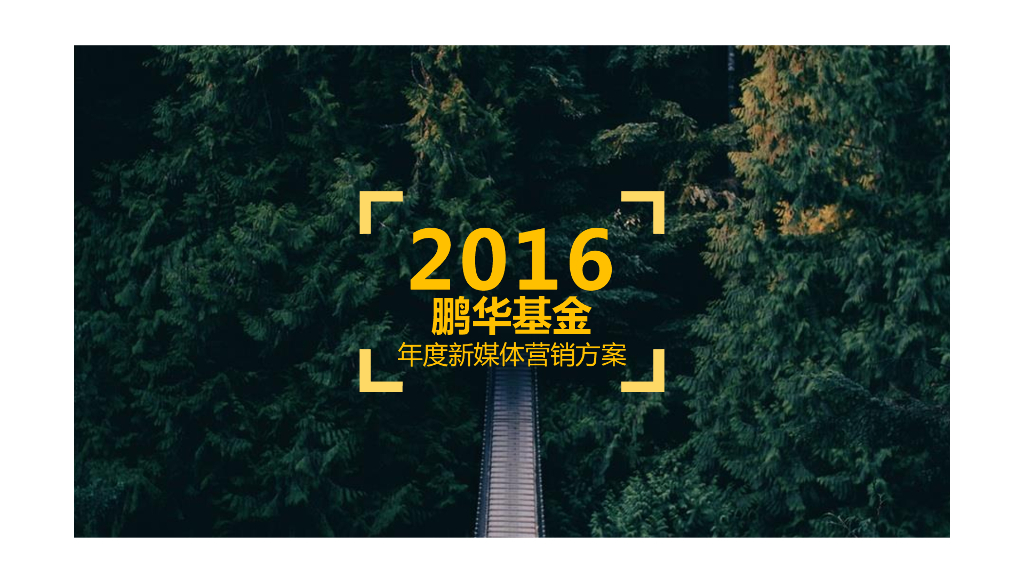 2016鹏华基金年度新媒体营销方案