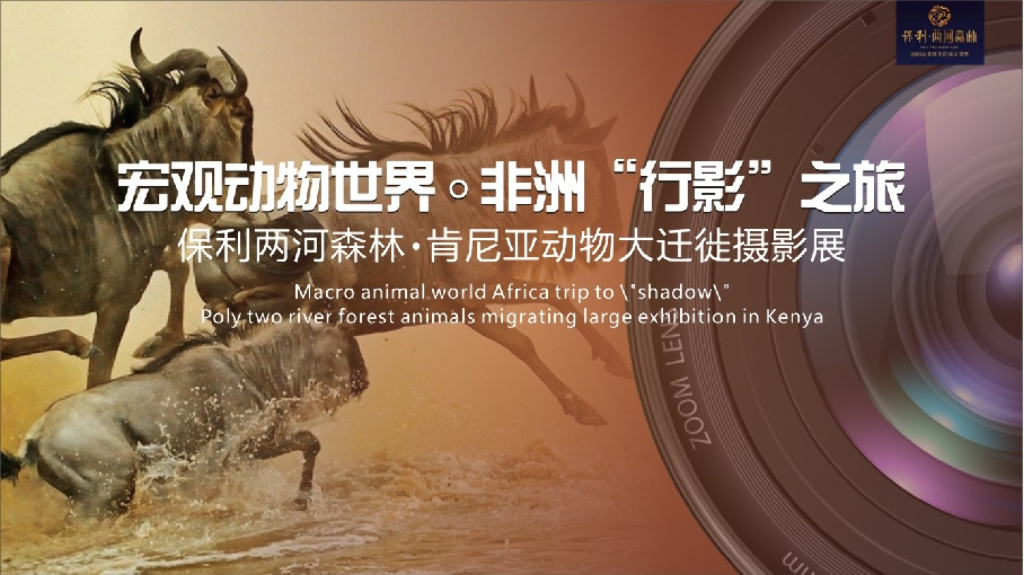 2017保利花园肯尼亚动物大迁徙摄影展活动方案