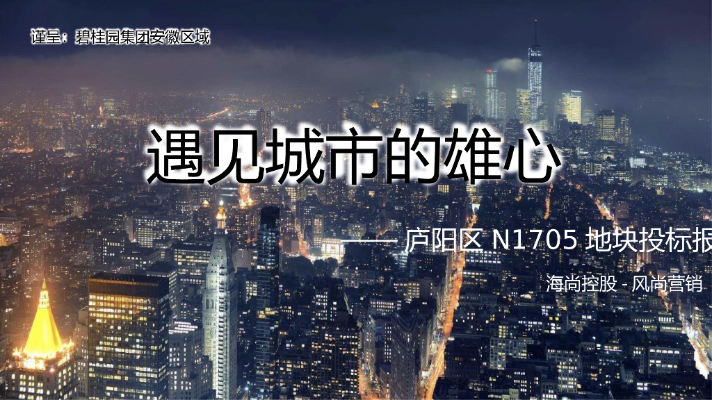 2018合肥地王碧桂园N1705地块营销提报