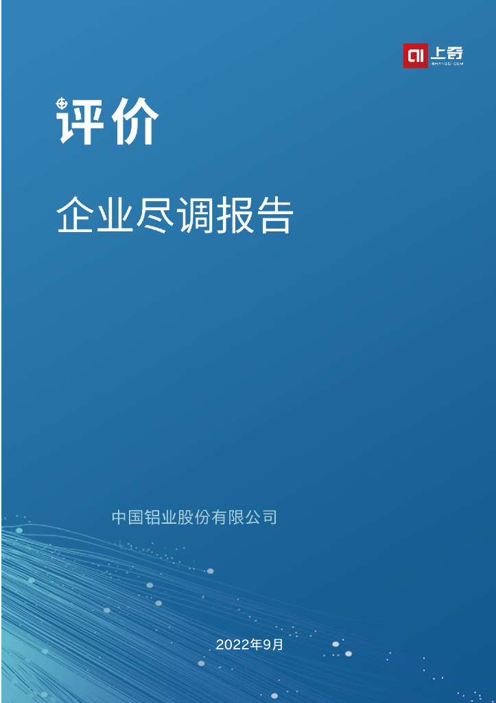 上奇研究院：2022企业尽调报告——中国铝业