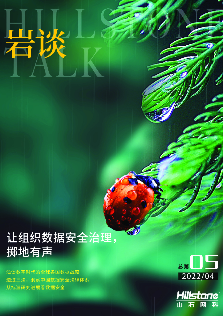 山石网科：《岩谈》第5期——让组织数据安全治理，掷地有声