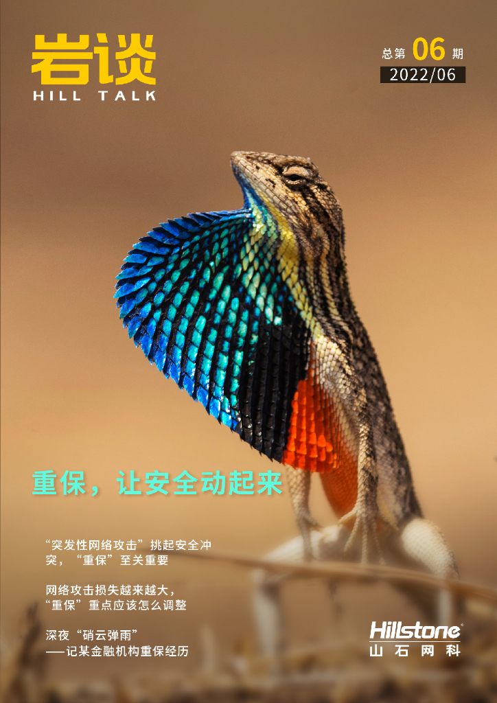 山石网科：《岩谈》第6期——重保，让安全动起来